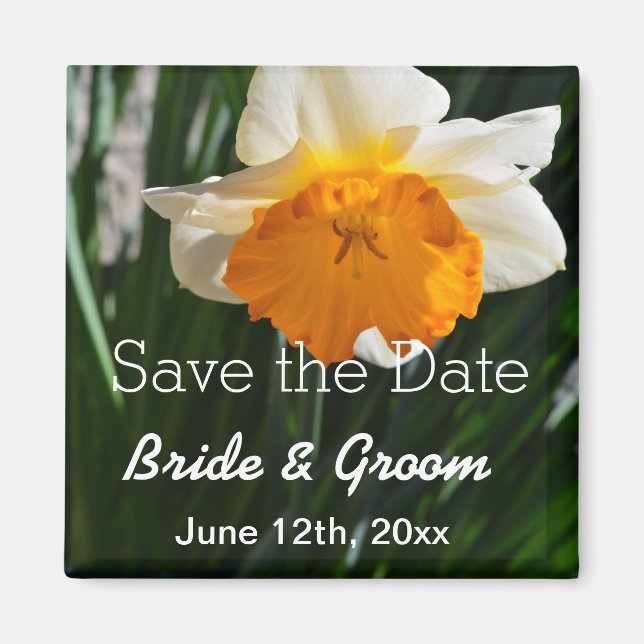 Weiße und gelbe Narzelle Save the Date-Blume Magnet (Vorne)