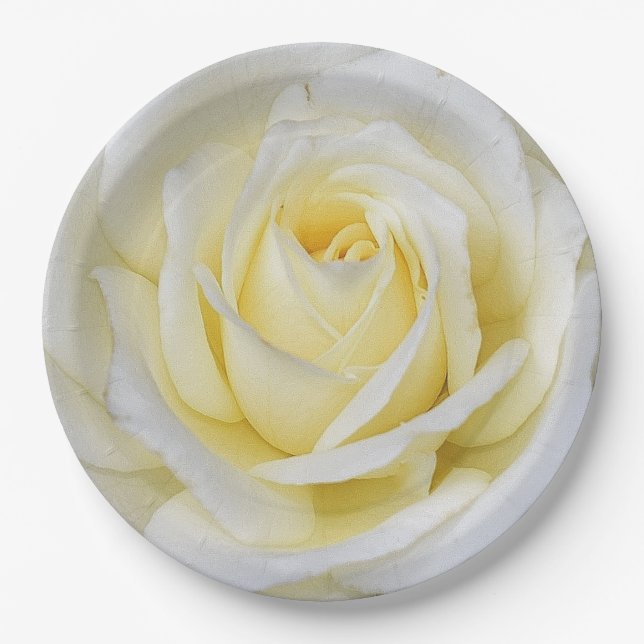 Weiße und gelbe Rose Pappteller (Vorderseite)
