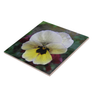Weiße und gelbe Tile Fliese