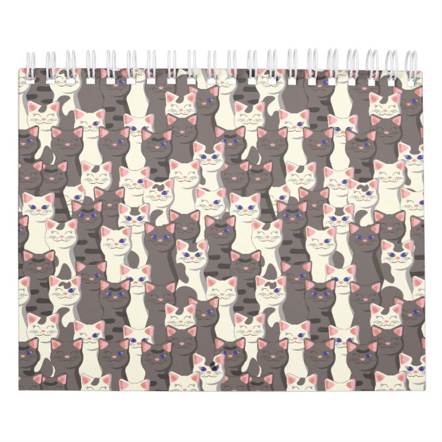 Weiße und graue Katzen Kalender (Titelbild)