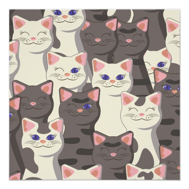Weiße und graue Katzen Poster (Vorderseite)