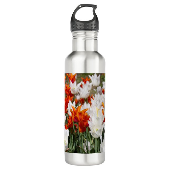 Weiße und Ingwer Tulpen im Garten Edelstahlflasche (Vorderseite)