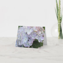Weiße und Lila HYDRANGEA Bloom Holiday Card