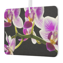 Weiße und lila Orchidee Autolufterfrischer