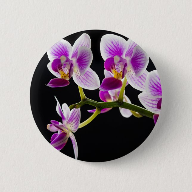 Weiße und lila Orchidee Button (Vorderseite)