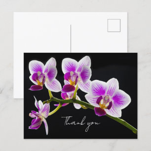 Weiße und lila Orchidee Danke Postkarte