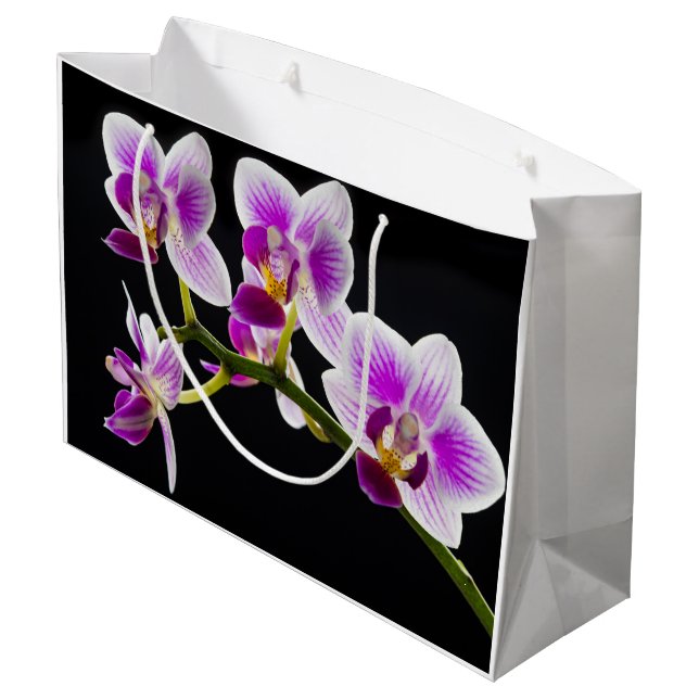 Weiße und lila Orchidee Große Geschenktüte (Rückseite Schrägansicht)