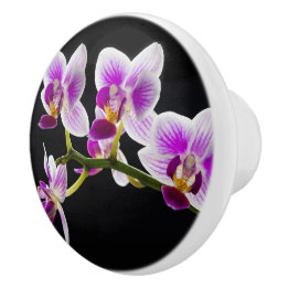 Weiße und lila Orchidee Keramikknauf