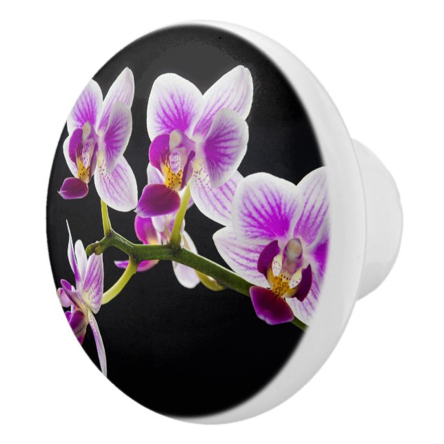 Weiße und lila Orchidee Keramikknauf (Rechts)