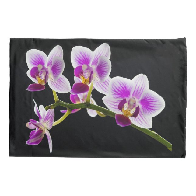 Weiße und lila Orchidee Kissenbezug (Rückseite)