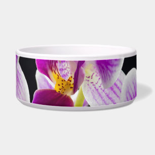 Weiße und lila Orchidee Napf