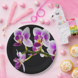 Weiße und lila Orchidee Pappteller