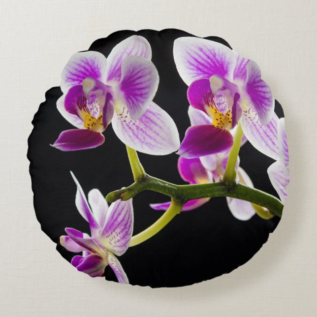 Weiße und lila Orchidee Rundes Kissen (Vorderseite)