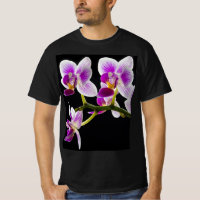 Weiße und lila Orchidee