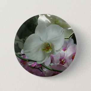 Weiße und Lila Orchideen Button