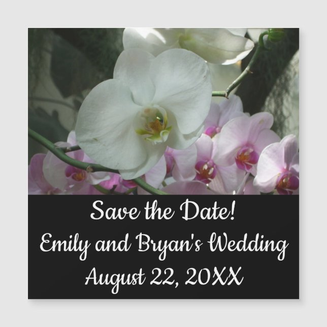 Weiße und Lila Orchideen Magnetkarte (Vorderseite)
