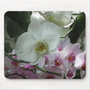 Weiße und Lila Orchideen Mousepad