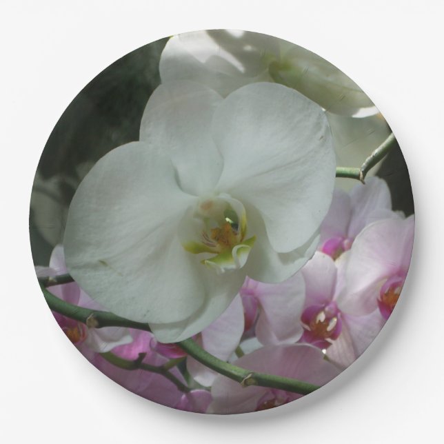 Weiße und Lila Orchideen Pappteller (Vorderseite)