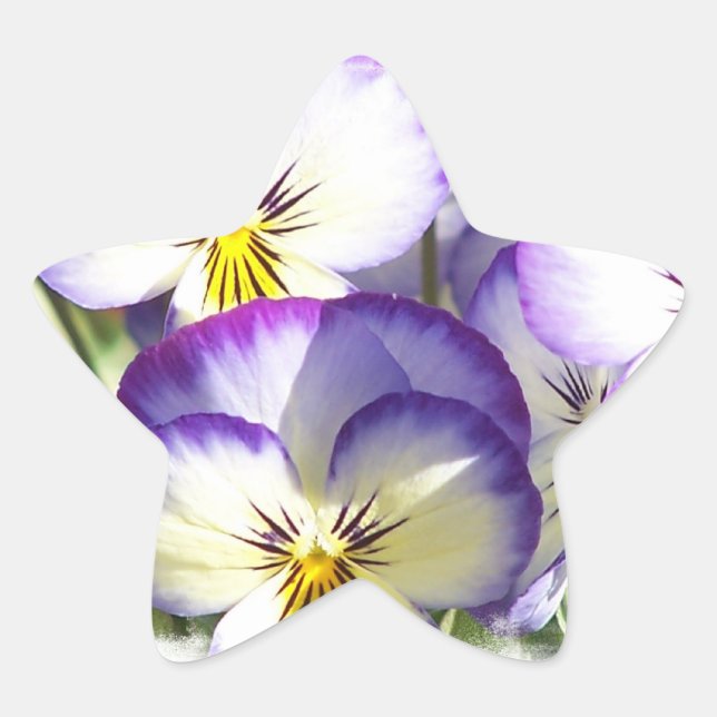 Weiße und Lila Violas Stickers (Vorderseite)