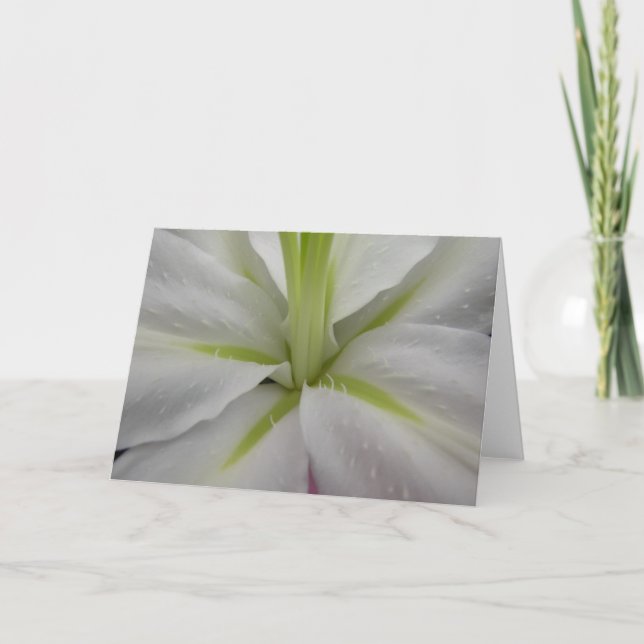 Weiße und Limone Tigerlily Grußkarte Karte (Vorderseite)
