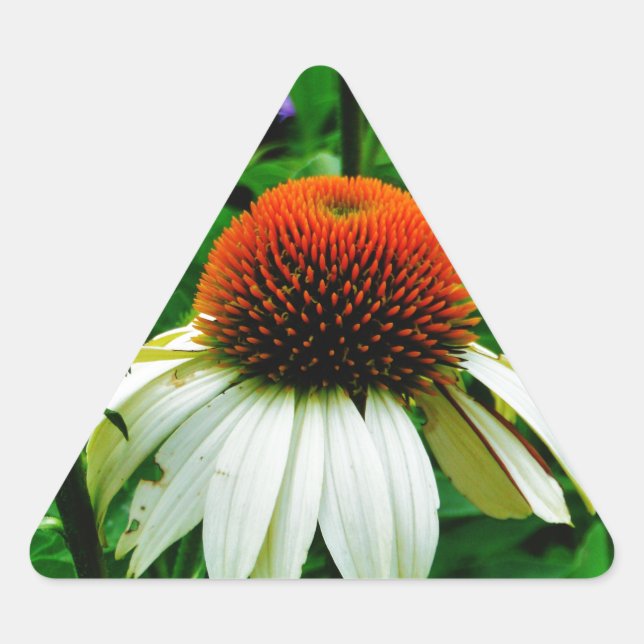 Weiße und orange KoneBlumen Dreieckiger Aufkleber (Vorderseite)
