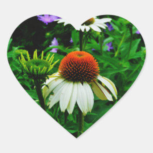 Weiße und orange KoneBlumen Herz-Aufkleber