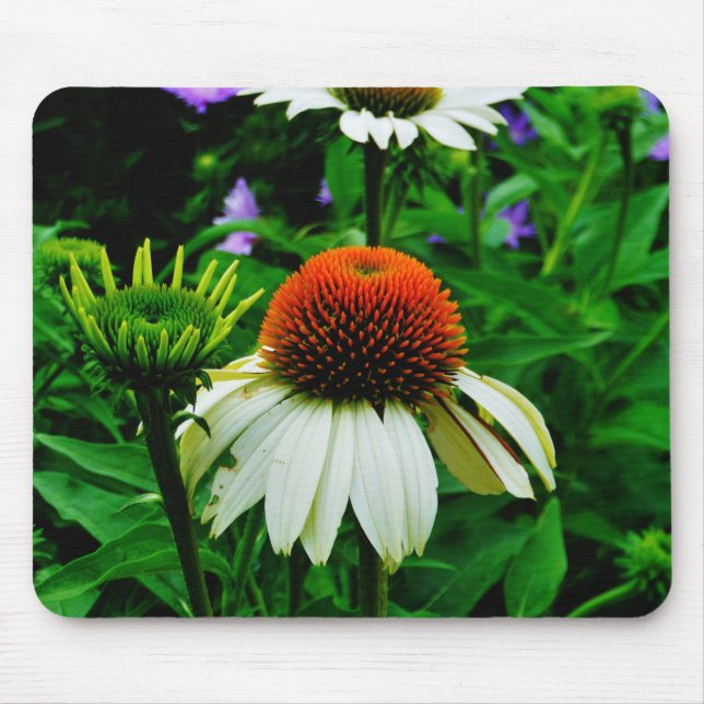 Weiße und orange KoneBlumen Mousepad (Vorne)