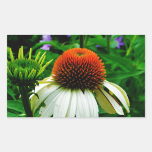 Weiße und orange KoneBlumen Rechteckiger Aufkleber