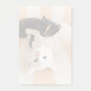 Weiße und schwarze Kätzchen Post-it Klebezettel