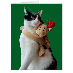 Weiße und schwarze Katze & Rentierspielzeug