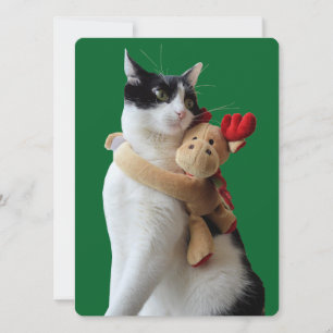 Weiße und schwarze Katze & Rentierspielzeug Feiertagskarte