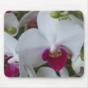 Weiße und violette Orchideen auf einem Mauspad