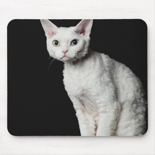 Weiße, ungerade mit Augen Katze 3 Mousepad (Vorne)