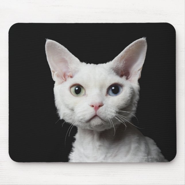 Weiße, ungerade mit Augen Katze Mousepad (Vorne)