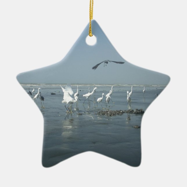 Weiße Vögel zeigen Hakuna matata.JPG Keramik Ornament (Vorne)