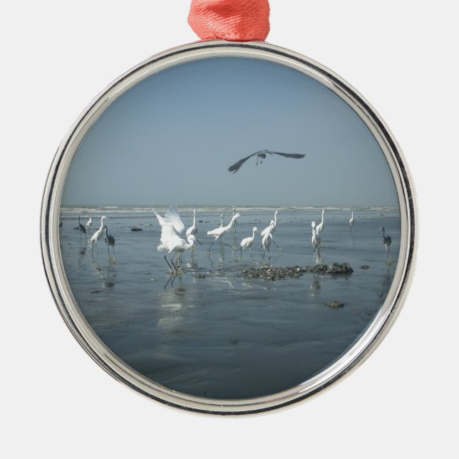 Weiße Vögel zeigen Hakuna matata.JPG Ornament Aus Metall (Vorne)