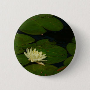 Weiße Wasserlilie I Friedliche Blumenfotografie Button