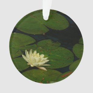 Weiße Wasserlilie I Friedliche Blumenfotografie Ornament