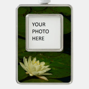 Weiße Wasserlilie I Friedliche Blumenfotografie Rahmen-Ornament Silber