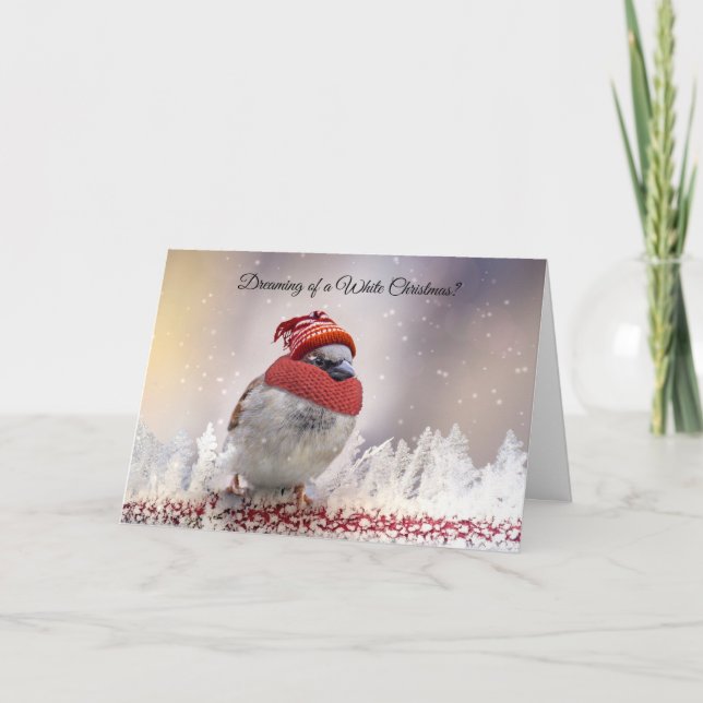 Weiße Weihnachten - Snowbird Florida Weihnachtskar Karte (Vorderseite)