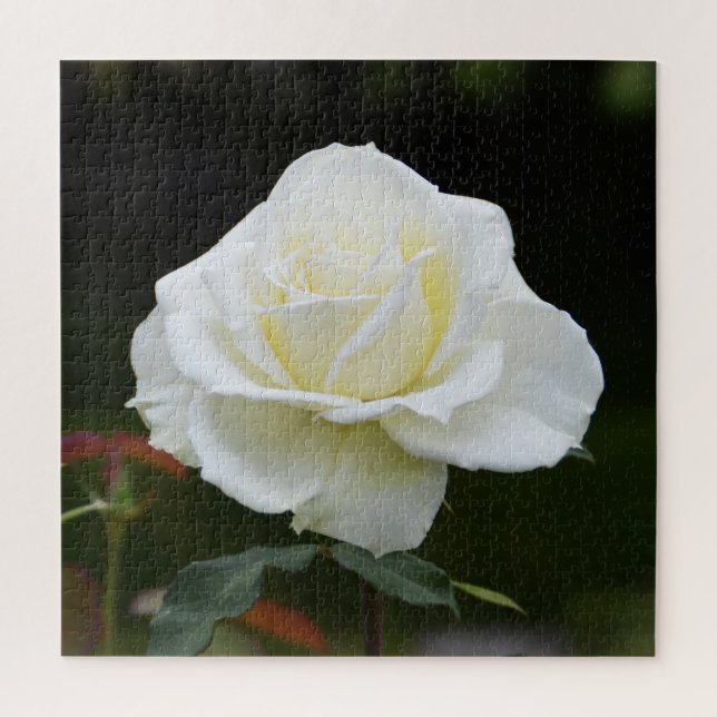 Weiße Weihnachtsrose floral (Vertikal)