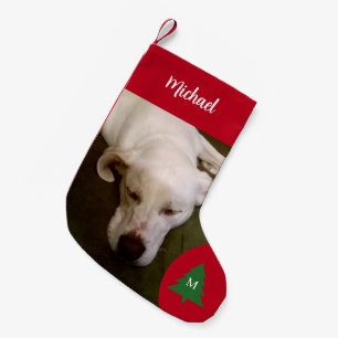 Weiße Welpenhündin-Foto Kleiner Weihnachtsstrumpf