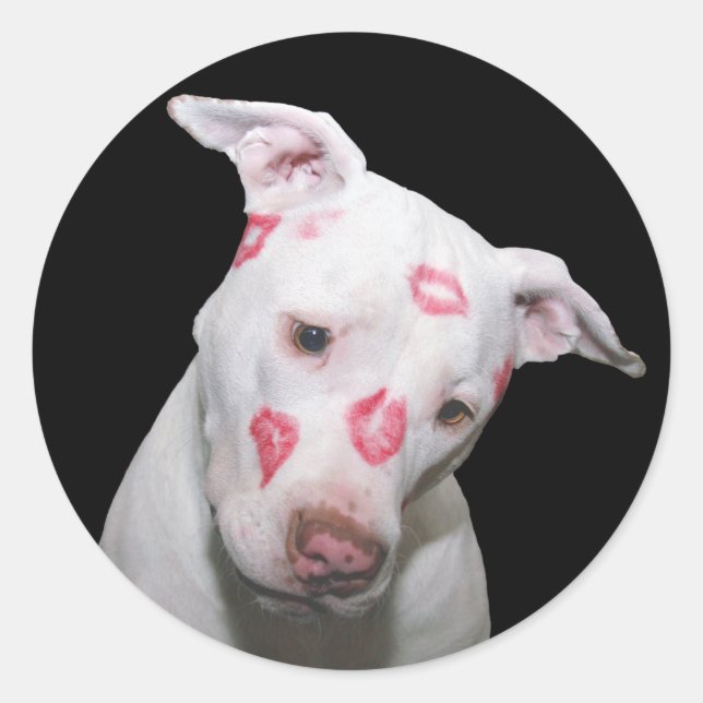 Weiße Welpenhündin-Liebe, versiegelt mit Lipstick  Runder Aufkleber (Vorderseite)