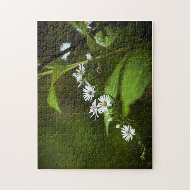 Weiße Wildblume (Vertikal)