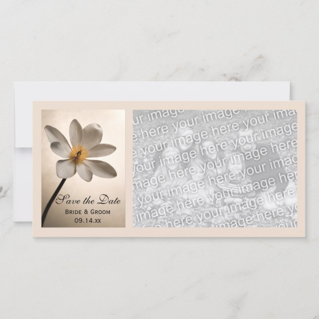 Weiße Wildblume Hochzeit speichern Sie das Datum Save The Date (Vorderseite)