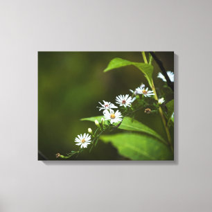 Weiße Wildblume Leinwanddruck