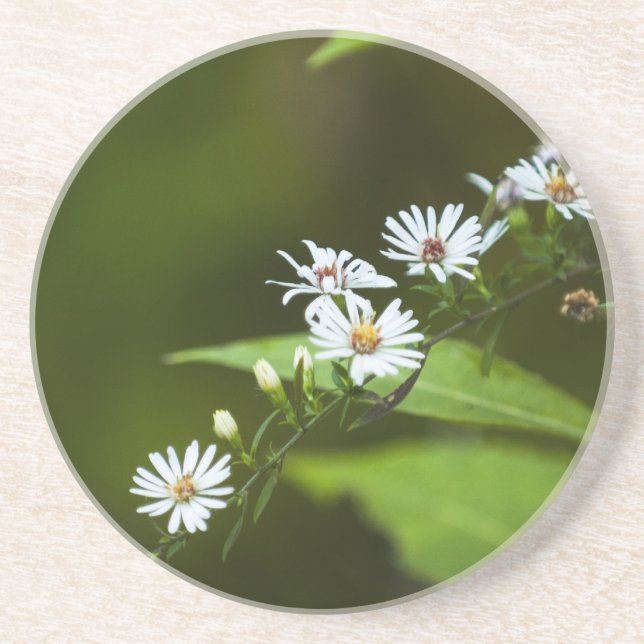 Weiße Wildblume Sandstein Untersetzer (Vorne)