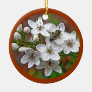 Weiße Wildblume und Bienenfliegen Keramikornament