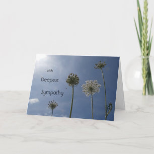 Weiße Wildblumen keuchen. Beileid Grußkarte Karte