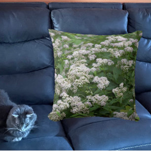 Weiße Wildblumen Kissen